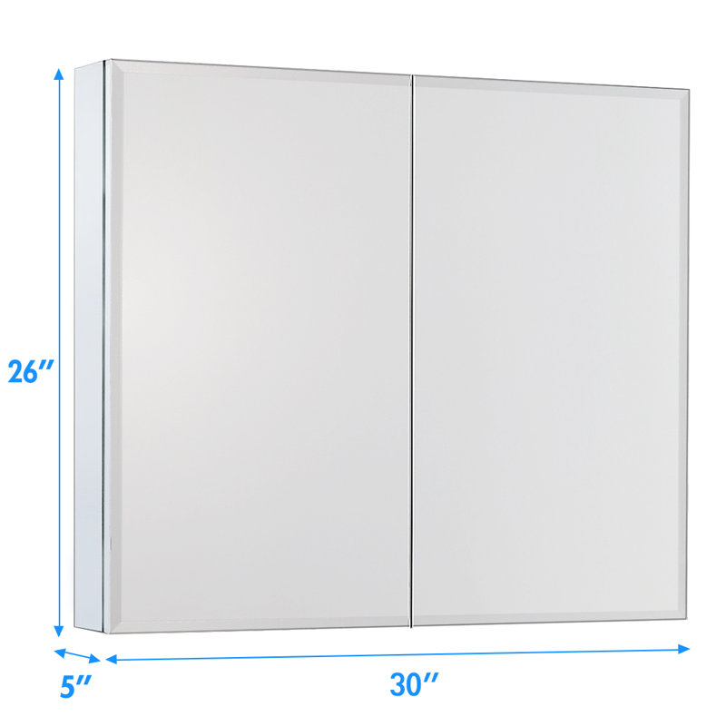 Latitude Run® Tamalyn Recessed or Surface Mount Frameless 2 Door